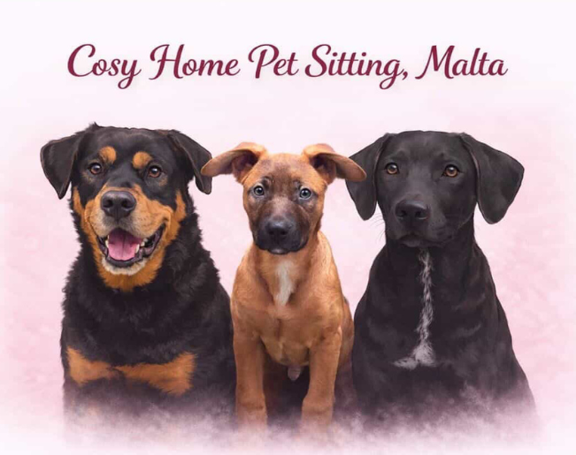 Service illustration