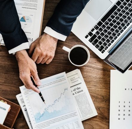 {{brizy_dc_image_alt image}}