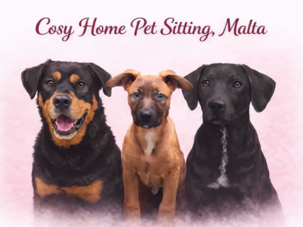 Cosy Home Pet Sitting