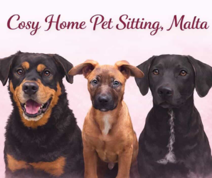 Cosy Home Pet Sitting